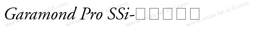 Garamond Pro SSi字体转换